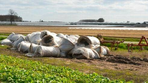 Bermejo image001|18|plásticos-desperdicios-16x9-C